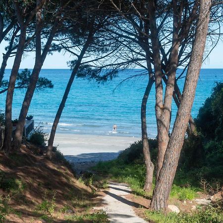 شقة I Pini Di Fuile 'E Mare أروسييْ المظهر الخارجي الصورة